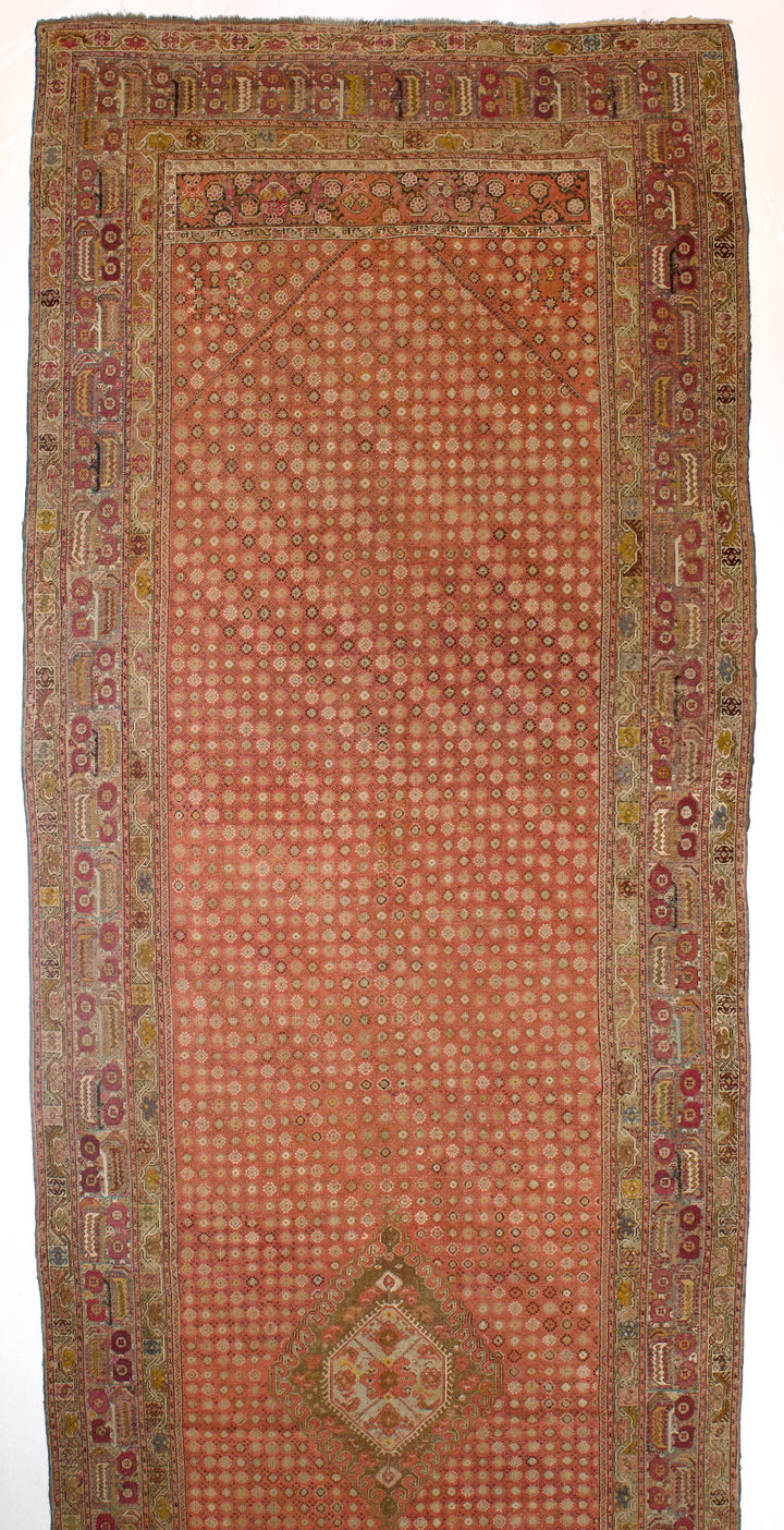 Antique Ghiordes Long Rug 6'7" x 24’4”