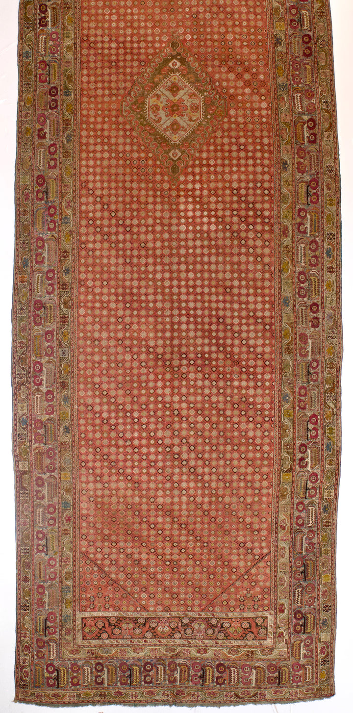 Antique Ghiordes Long Rug 6'7" x 24’4”