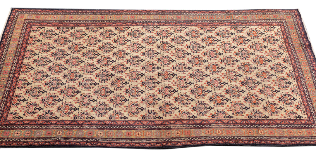 Antique Malayer Rug 3'4'' x 5'8''