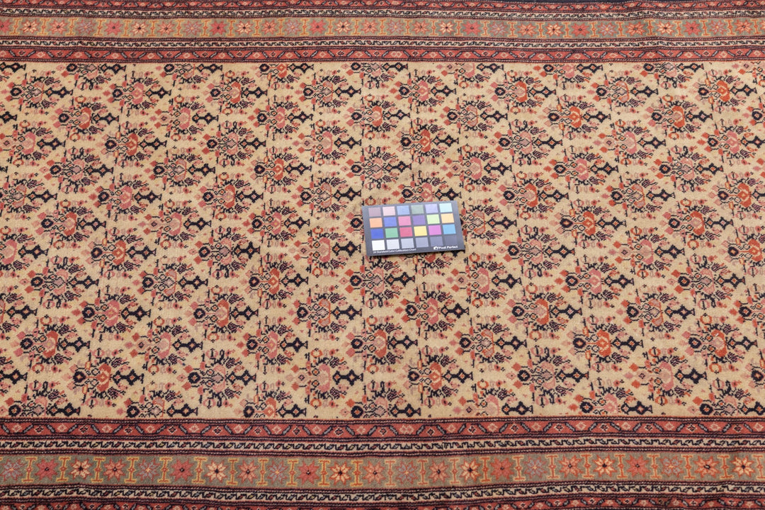 Antique Malayer Rug 3'4'' x 5'8''