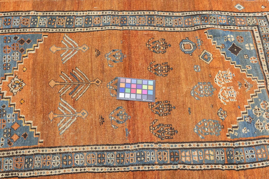 Antique Persian Bakhshayesh Rug 3'0" x 4'5''