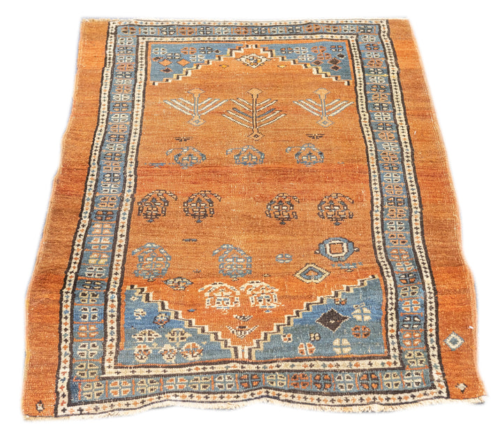 Antique Persian Bakhshayesh Rug 3'0" x 4'5''