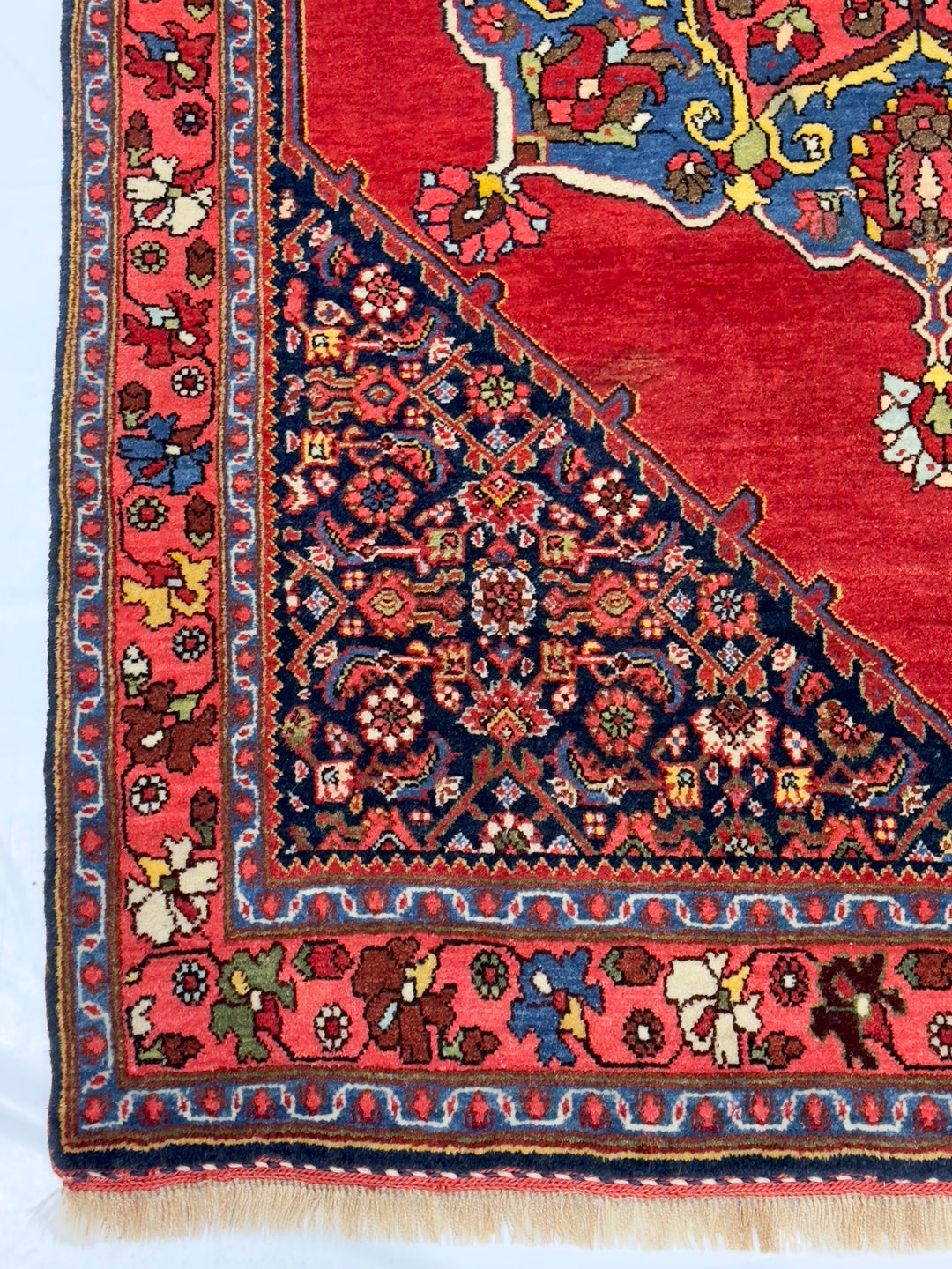 Antique Persian Halva Bidjar Rug 3'7" x 5’5"