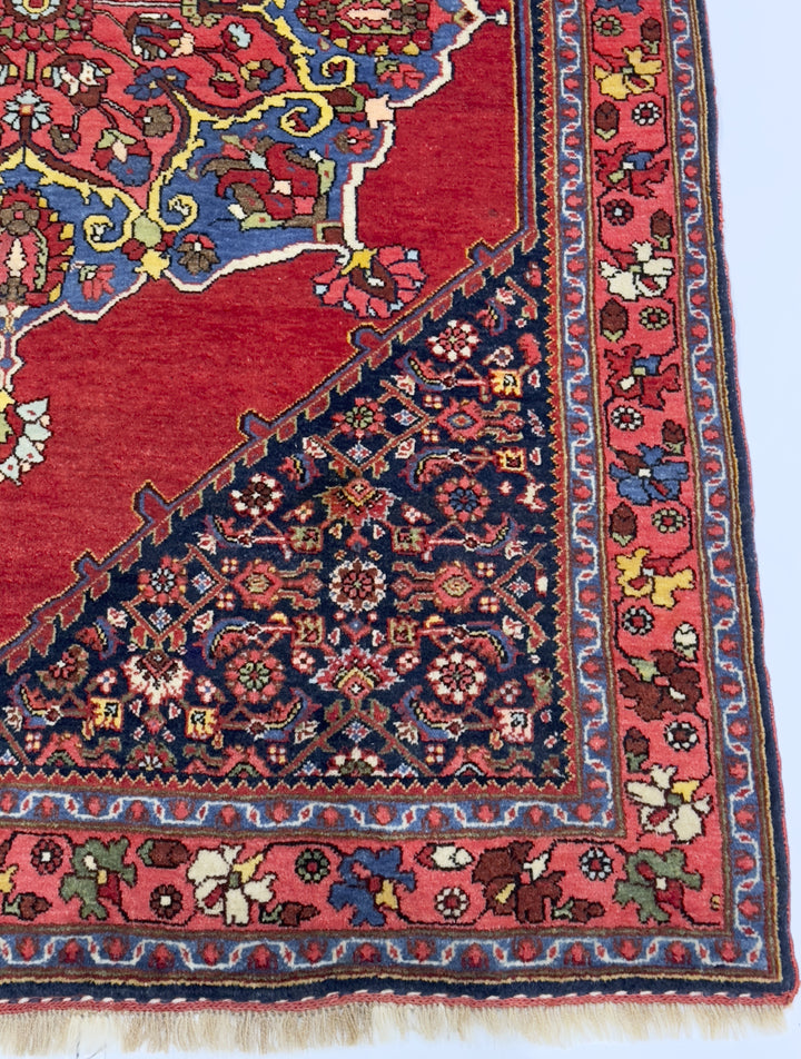 Antique Persian Halva Bidjar Rug 3'7" x 5’5"