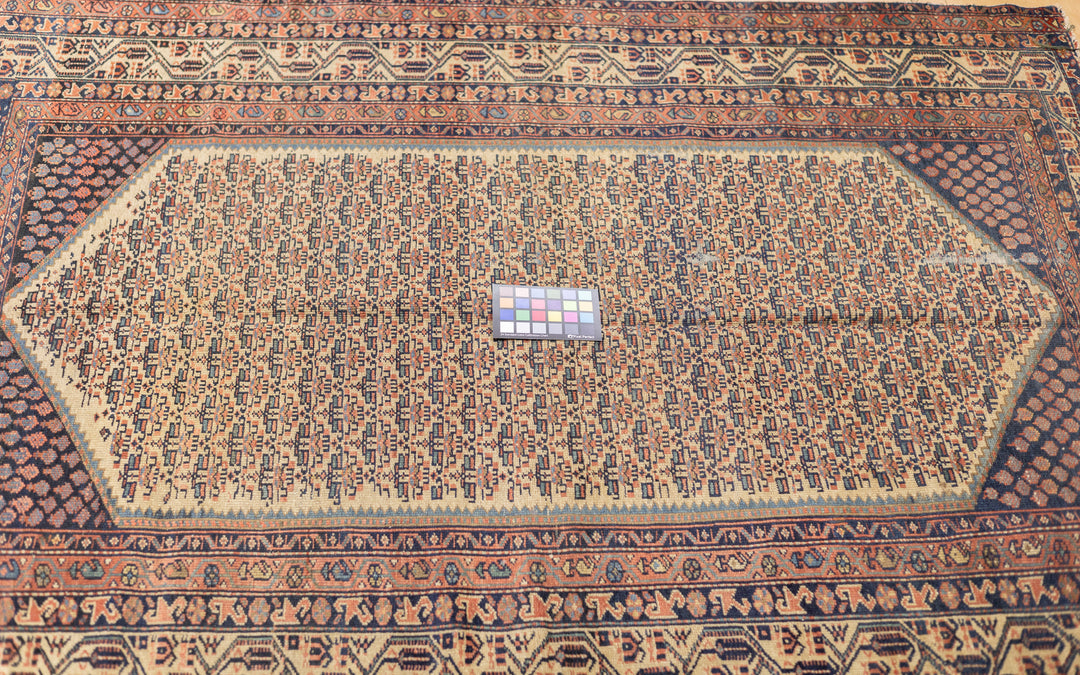 Antique Persian Malayer Rug 5'0" x 6'5"