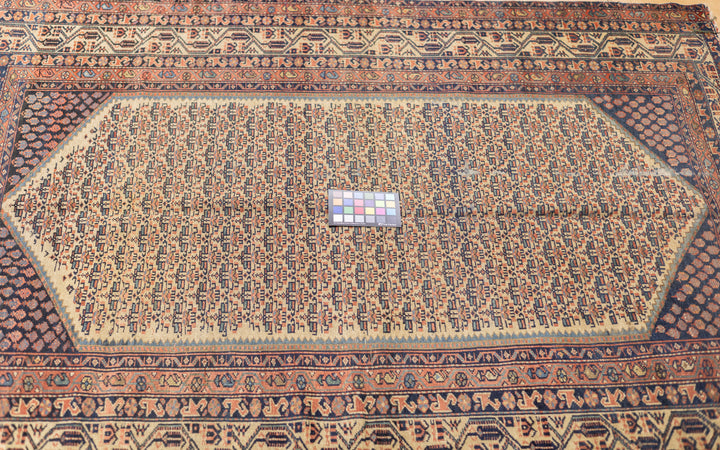 Antique Persian Malayer Rug 5'0" x 6'5"