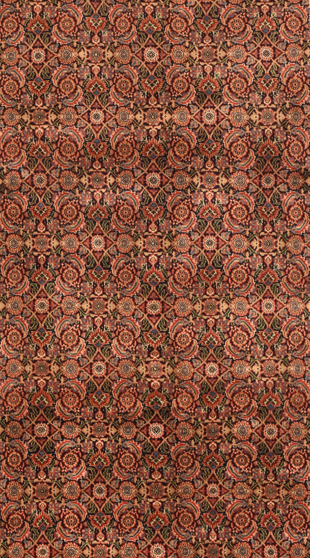 Bidjar Rug 4'10'' x 7'7''