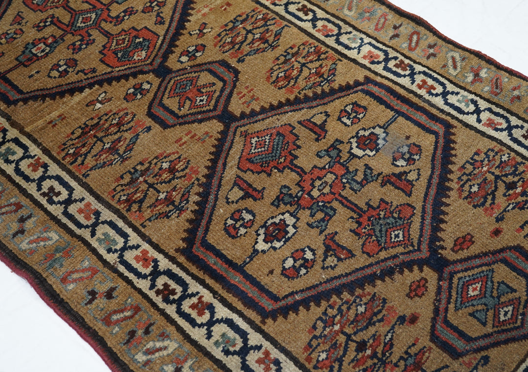 Antique Bakhshayesh Rug 3'6'' x 8'5''