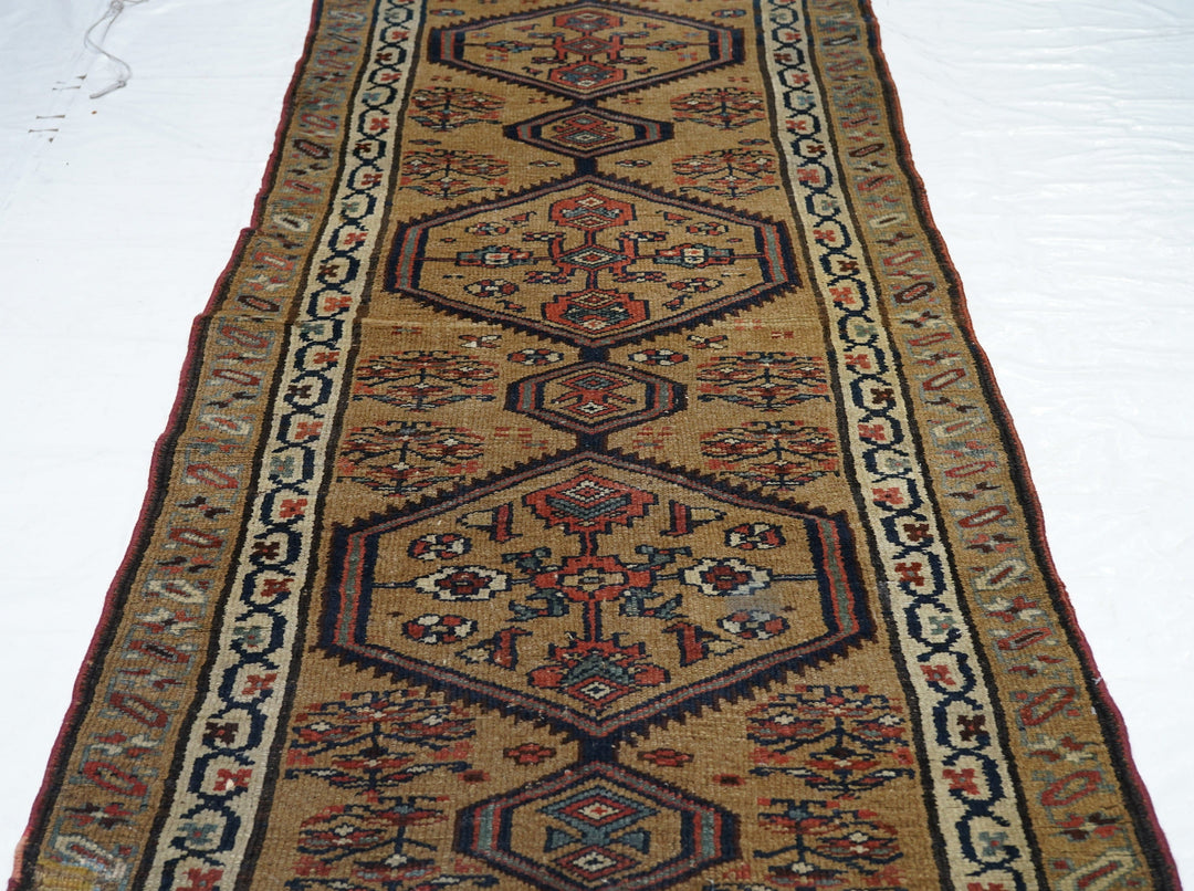 Antique Bakhshayesh Rug 3'6'' x 8'5''