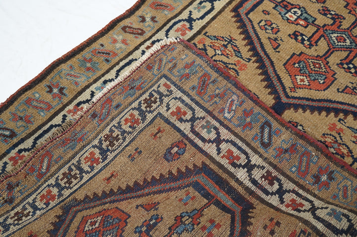 Antique Bakhshayesh Rug 3'6'' x 8'5''