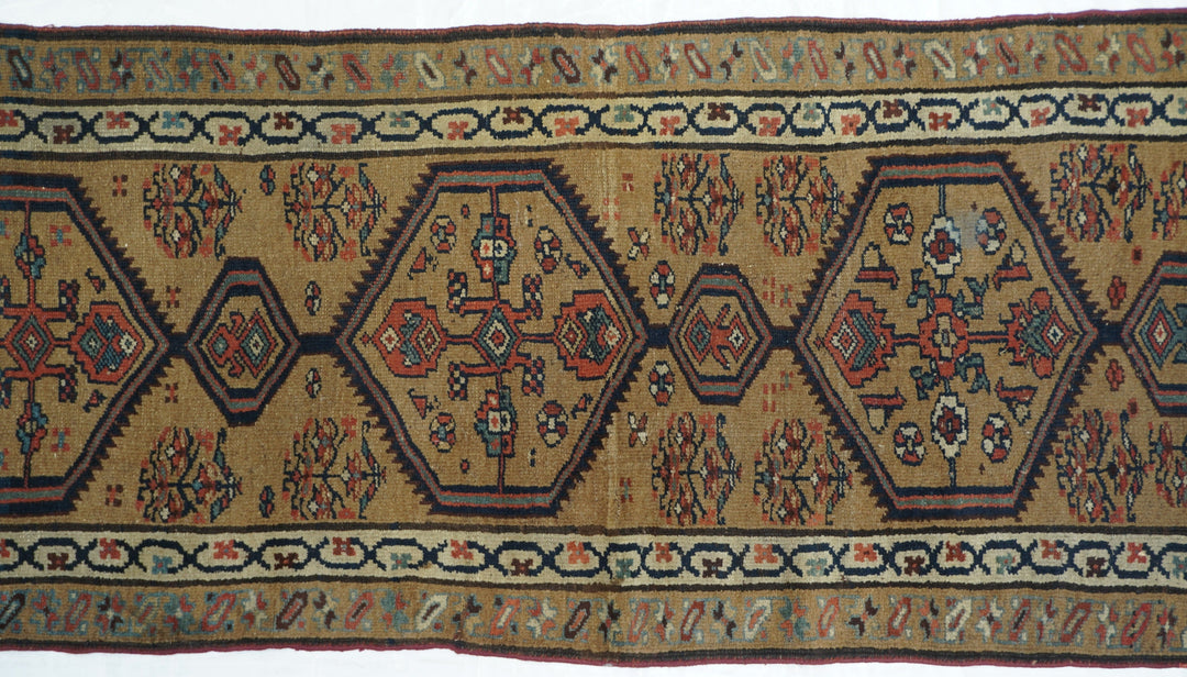 Antique Bakhshayesh Rug 3'6'' x 8'5''