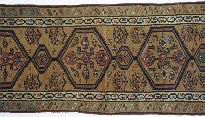 Antique Bakhshayesh Rug 3'6'' x 8'5''