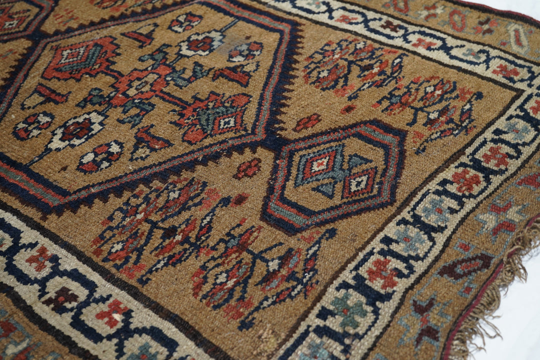 Antique Bakhshayesh Rug 3'6'' x 8'5''