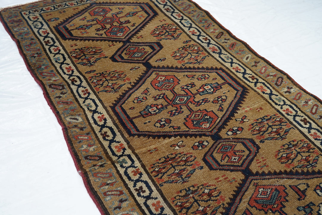 Antique Bakhshayesh Rug 3'6'' x 8'5''