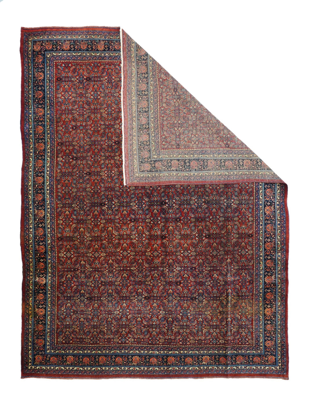 Antique Bidjar Rug 9'3'' x 12'6''