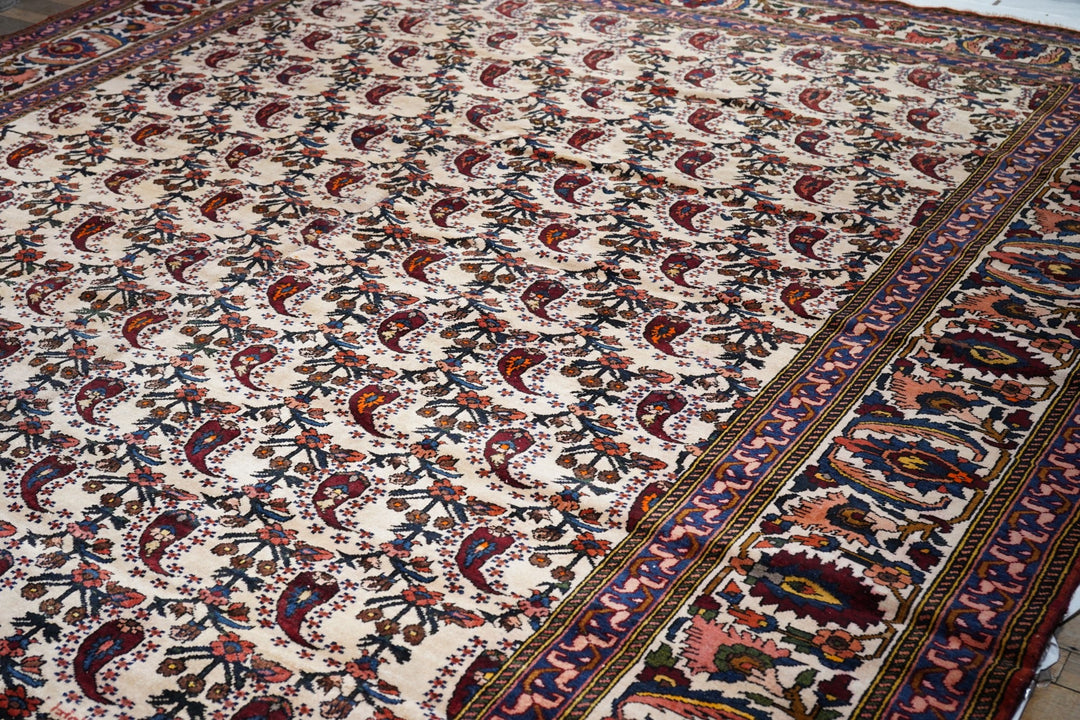 Vintage Bakhtiari Rug 11'10'' x 14'0''