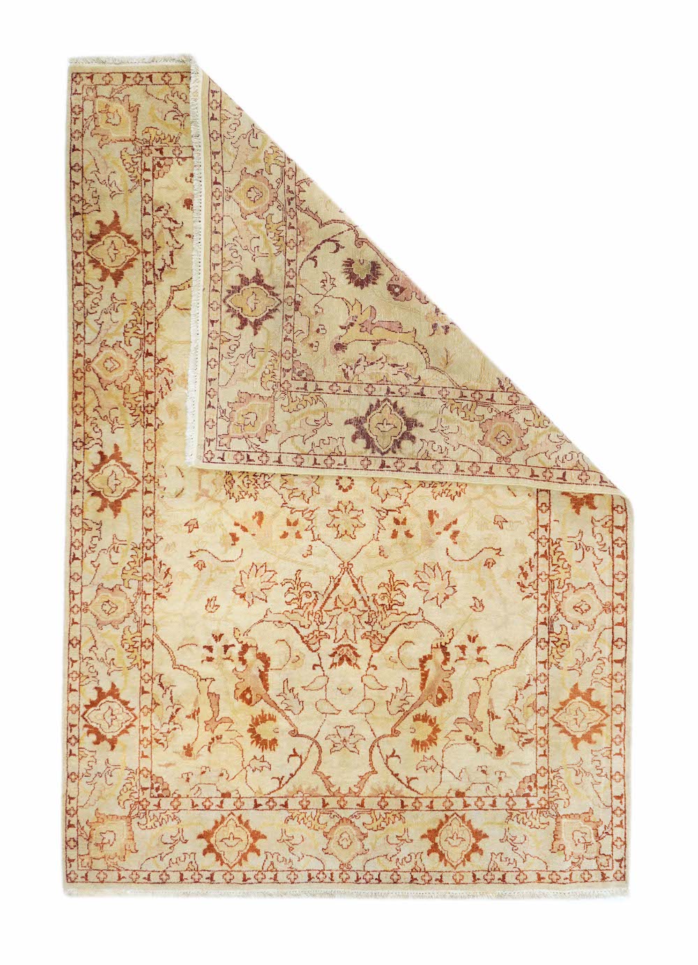 Jaipur Rug 5'11'' x 9'0''