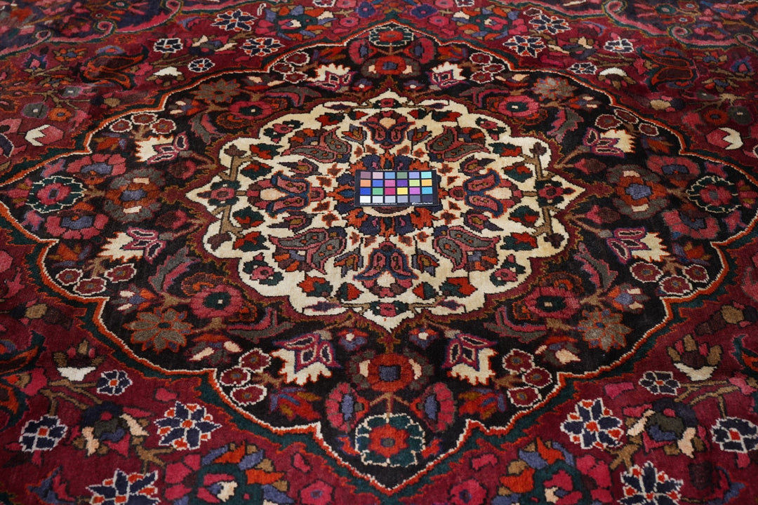 Vintage Bakhtiari Rug 6'10'' x 10'2''