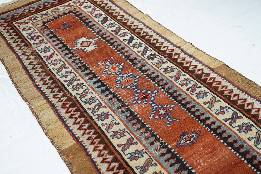 Antique Bakshayesh Runner 3'6'' x 9'7''