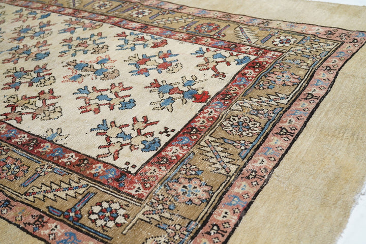 Antique Bakshayesh Rug 5'4'' x 7'7''