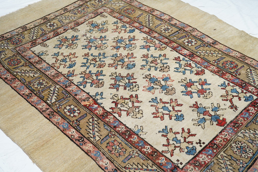 Antique Bakshayesh Rug 5'4'' x 7'7''