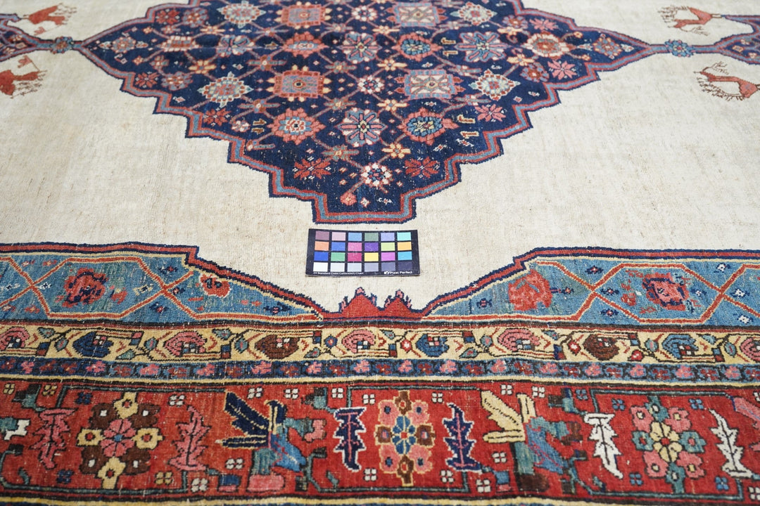 Antique Bidjar Rug 7'8'' x 12'0''