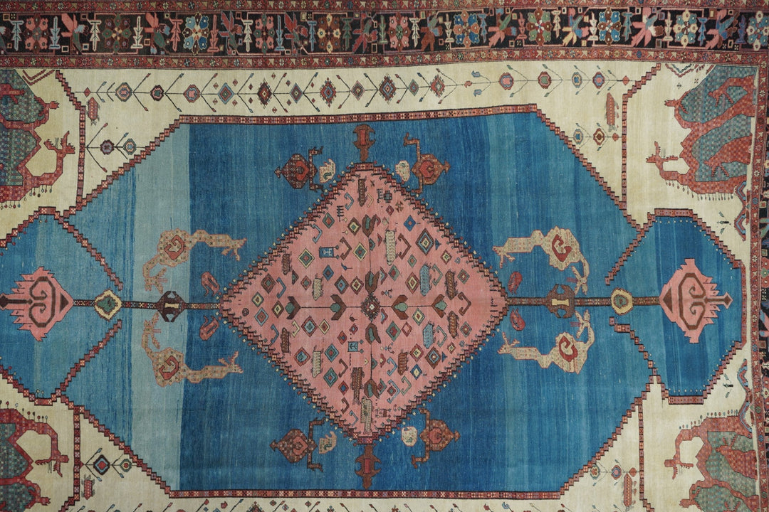 Antique Bakhshayesh Rug 9'4'' x 13'0"