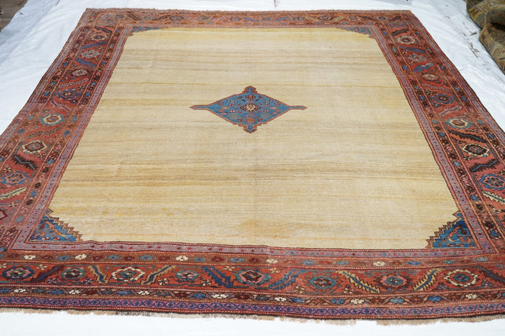 Antique Bakhshayesh Rug 9'1'' x 11'2''