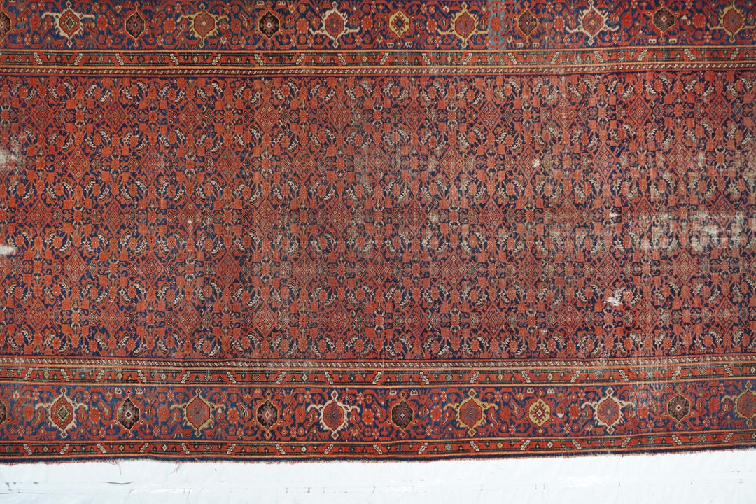 Antique Malayer Shabby Chic Rug 6'6'' x 12'8''