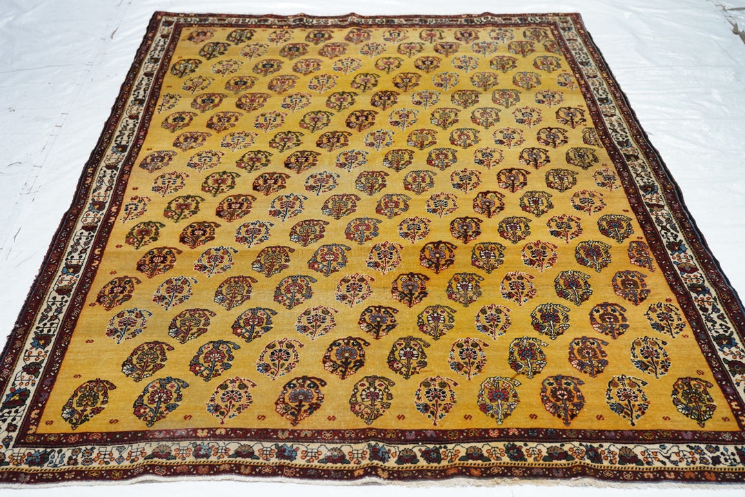 Antique Qashqai Rug 5'7'' x 8'2''