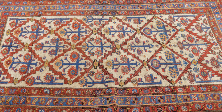 Antique Malayer Rug 4'0" x 6'6''