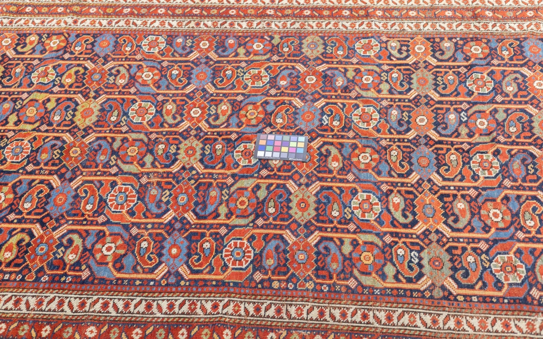 Antique Afshar Rug 5'0" x 8'11''