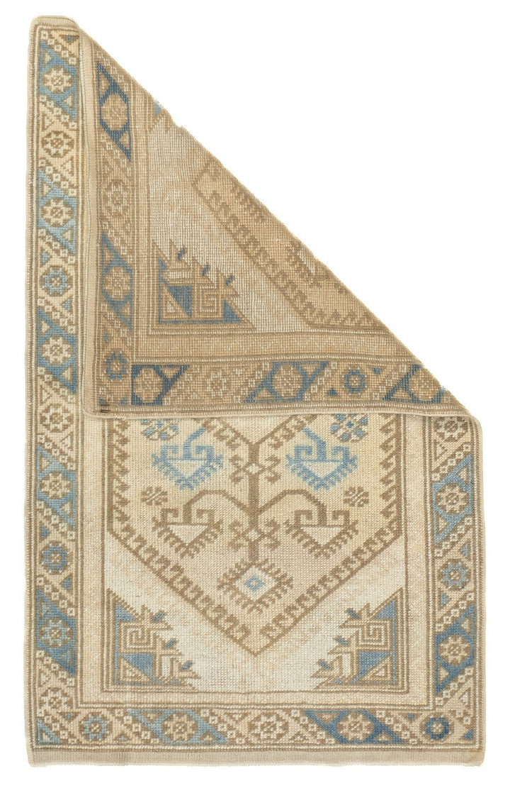 Oushak Rug 2'4'' x 3'10''