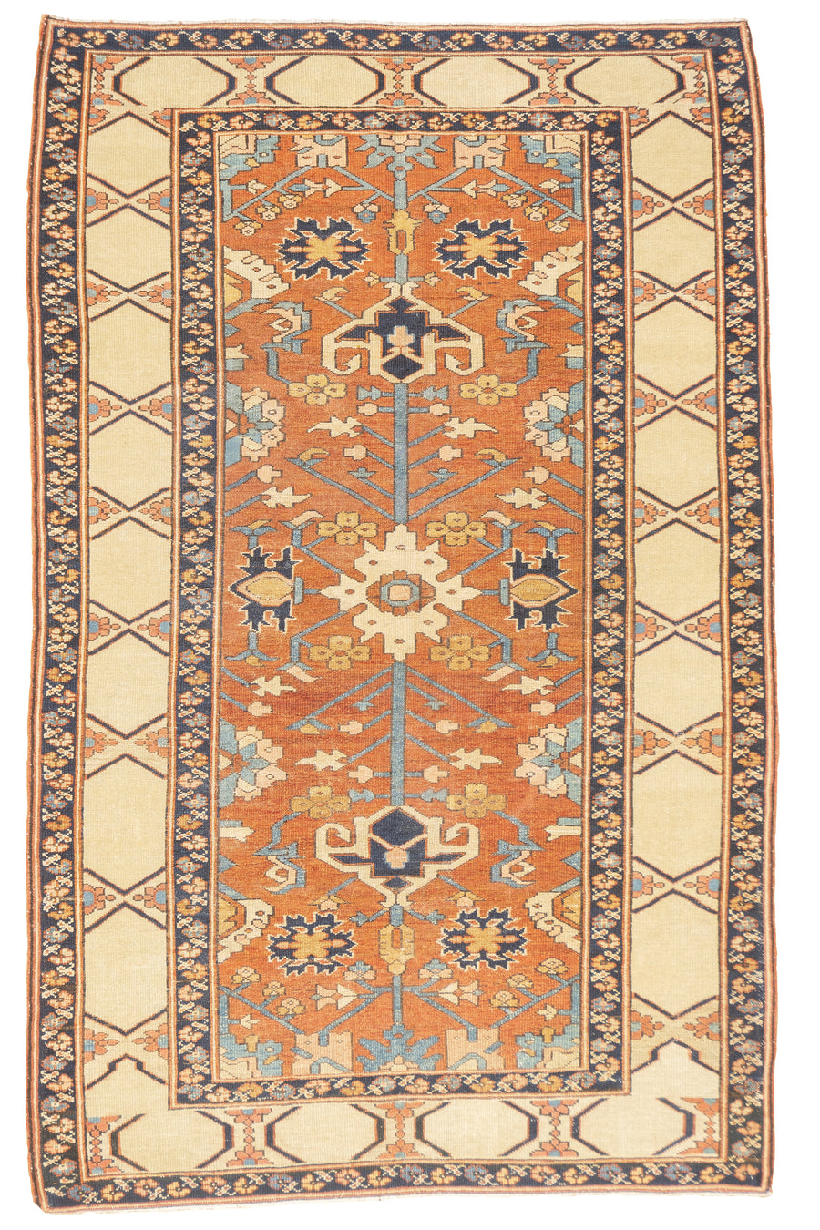 Antique Persian Bakhshayesh