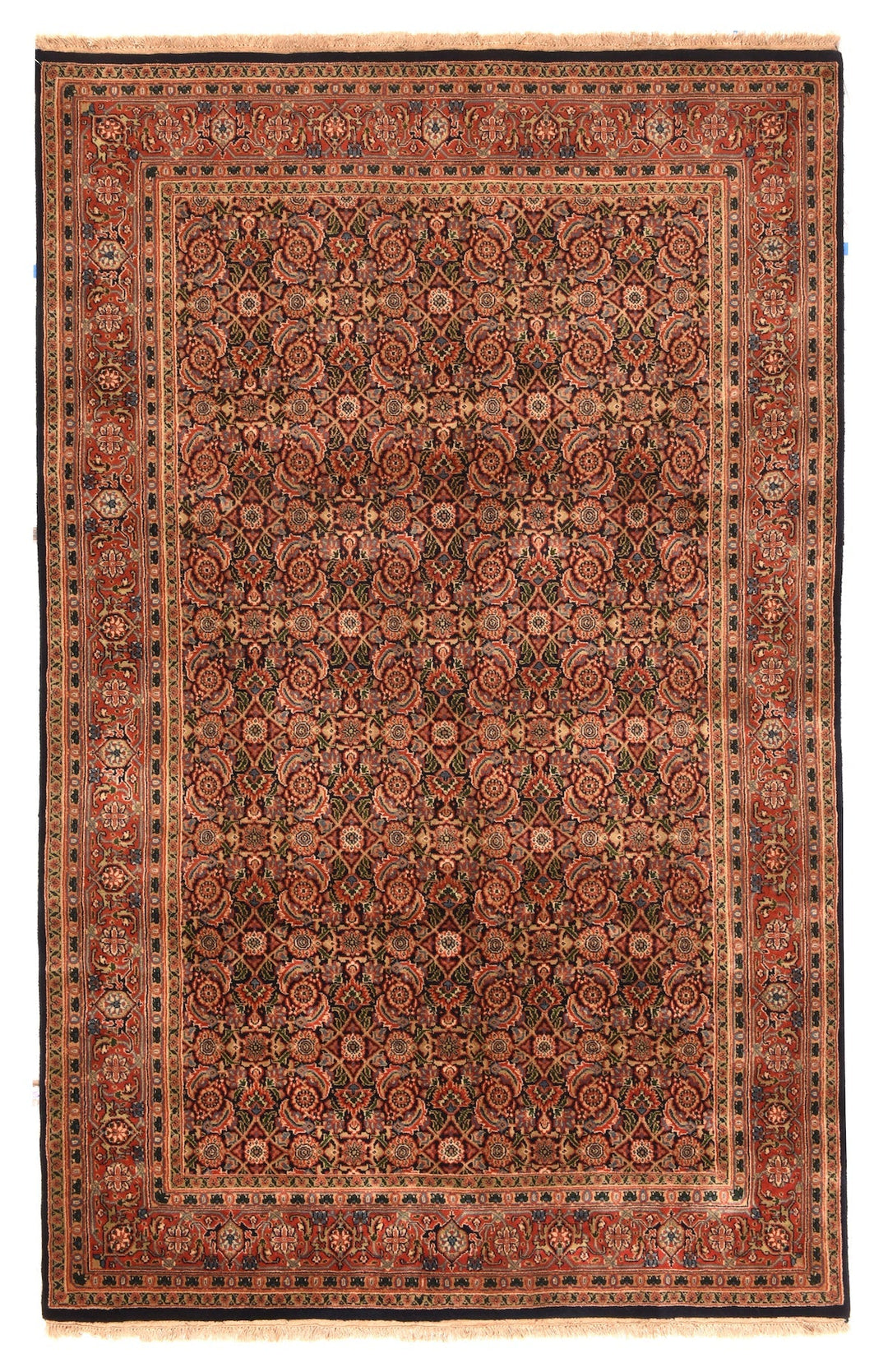 Bidjar Rug 4'10'' x 7'7''