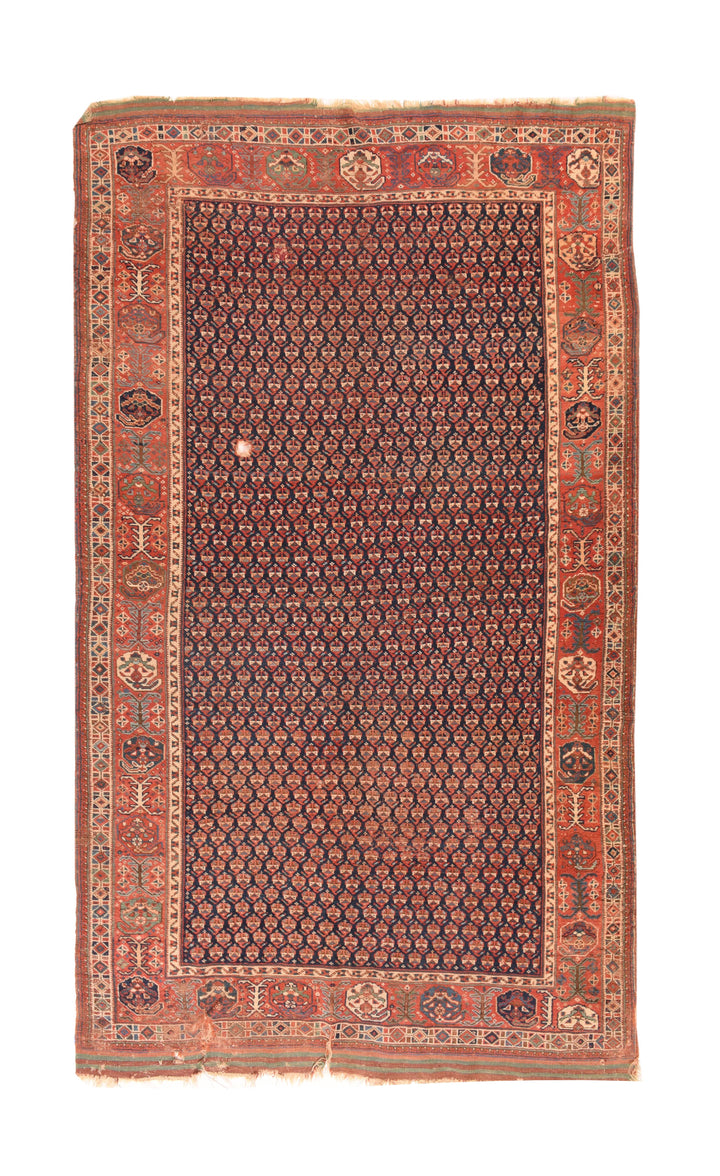 Antique Afshar Rug 5'4'' x 9'7''