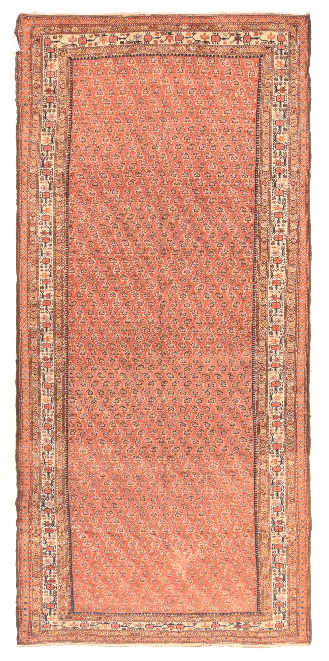 Antique Malayer Rug 5'11'' x 13'4''